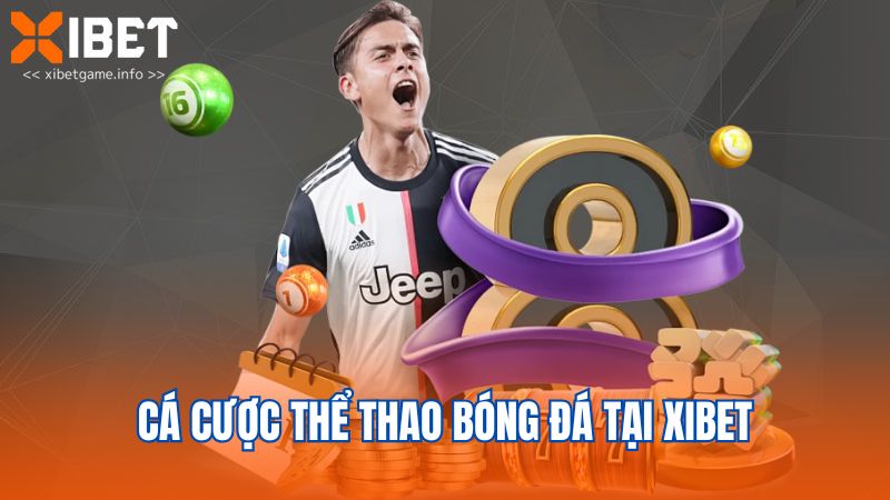 Cá cược thể thao bóng đá tại XIBET