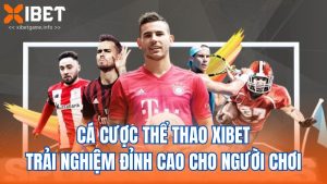 Cá Cược Thể Thao XIBET - Trải Nghiệm Đỉnh Cao Cho Người Chơi
