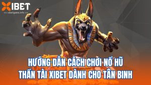 Hướng Dẫn Cách Chơi Nổ Hũ Thần Tài XIBET Dành Cho Tân Binh