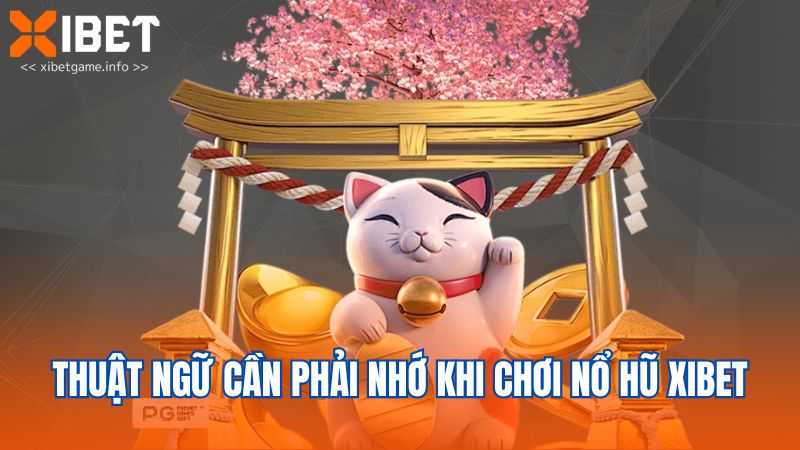 Thuật ngữ cần phải nhớ khi chơi nổ hũ XIBET